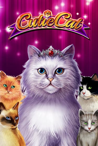 Попробуй Cutie Cat в демо бесплатно онлайн | Azino777