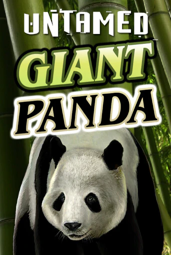 Попробуй Untamed - Giant Panda в демо бесплатно онлайн | Azino777
