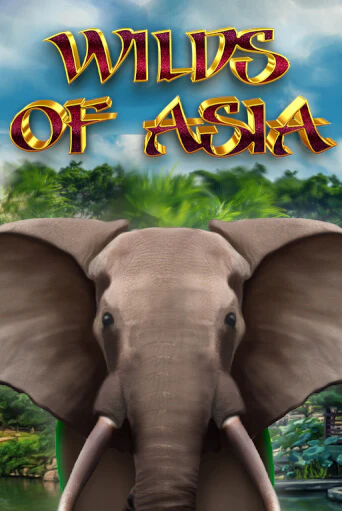 Попробуй Wilds of Asia в демо бесплатно онлайн | Azino777