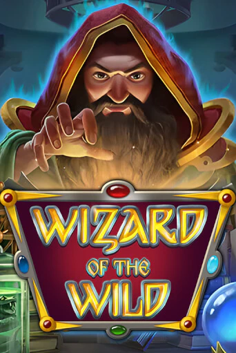 Попробуй Wizard of the Wild в демо бесплатно онлайн | Azino777